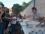 Cosme & Dami�o 2014