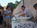 Cosme & Dami�o 2014